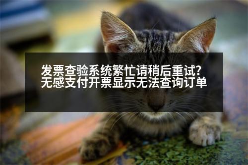 發(fā)票查驗(yàn)系統(tǒng)繁忙請稍后重試？無感支付開票顯示無法查詢訂單