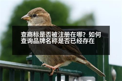 查商標(biāo)是否被注冊(cè)在哪？如何查詢(xún)品牌名稱(chēng)是否已經(jīng)存在