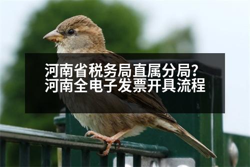 河南省稅務局直屬分局？河南全電子發(fā)票開具流程