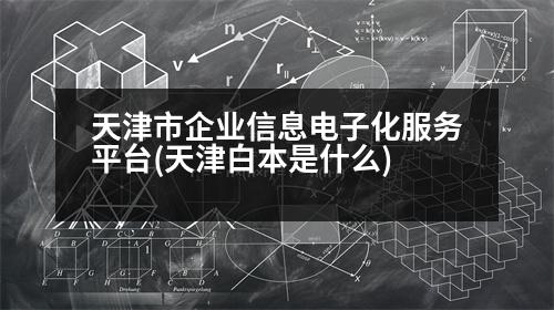 天津市企業(yè)信息電子化服務平臺(天津白本是什么)