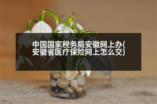 中國國家稅務(wù)局安徽網(wǎng)上辦(安徽省醫(yī)療保險網(wǎng)上怎么交)