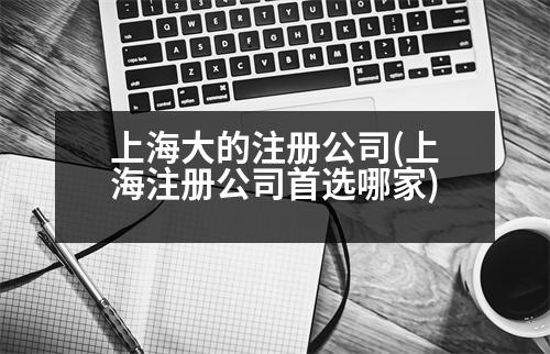 上海大的注冊(cè)公司(上海注冊(cè)公司首選哪家)