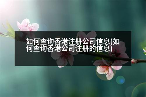 如何查詢香港注冊(cè)公司信息(如何查詢香港公司注冊(cè)的信息)