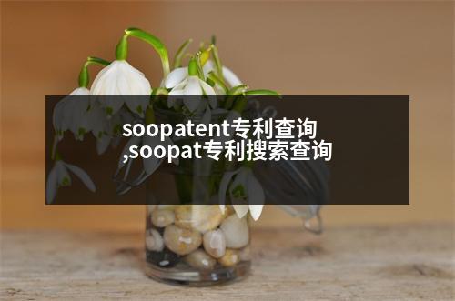 soopatent專利查詢,soopat專利搜索查詢