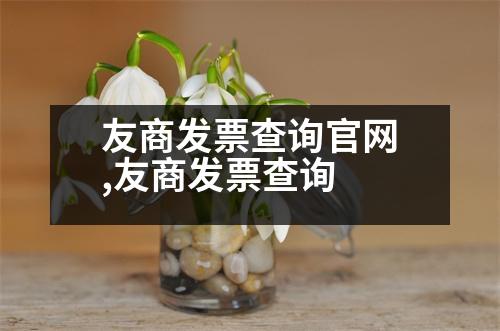 友商發(fā)票查詢官網(wǎng),友商發(fā)票查詢