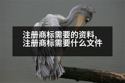 注冊商標(biāo)需要的資料,注冊商標(biāo)需要什么文件