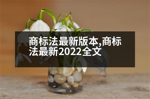 商標法最新版本,商標法最新2022全文