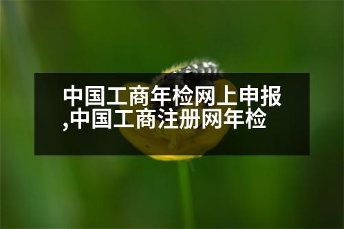 中國工商年檢網(wǎng)上申報(bào),中國工商注冊網(wǎng)年檢