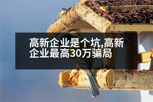 高新企業(yè)是個坑,高新企業(yè)最高30萬騙局