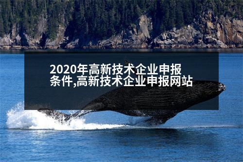 2020年高新技術(shù)企業(yè)申報(bào)條件,高新技術(shù)企業(yè)申報(bào)網(wǎng)站