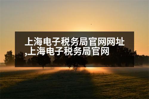 上海電子稅務(wù)局官網(wǎng)網(wǎng)址,上海電子稅務(wù)局官網(wǎng)