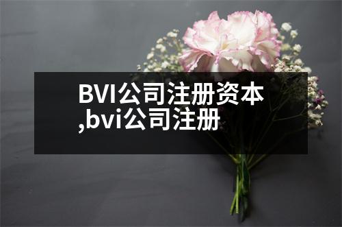 BVI公司注冊(cè)資本,bvi公司注冊(cè)