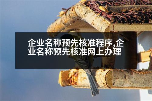 企業(yè)名稱預(yù)先核準(zhǔn)程序,企業(yè)名稱預(yù)先核準(zhǔn)網(wǎng)上辦理