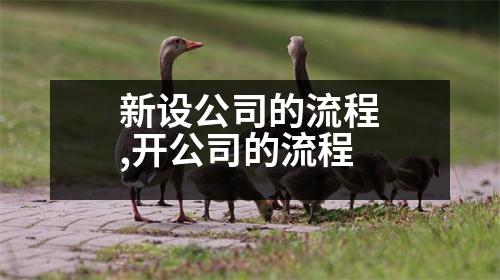 新設(shè)公司的流程,開(kāi)公司的流程