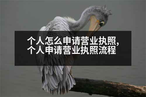 個(gè)人怎么申請營業(yè)執(zhí)照,個(gè)人申請營業(yè)執(zhí)照流程