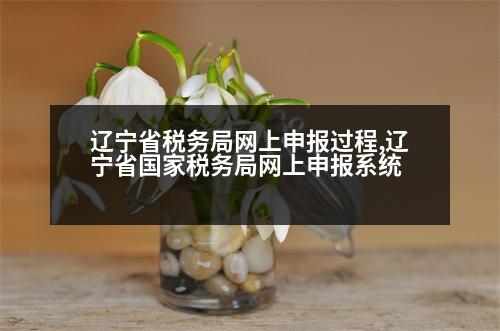 遼寧省稅務局網(wǎng)上申報過程,遼寧省國家稅務局網(wǎng)上申報系統(tǒng)