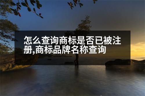 怎么查詢商標(biāo)是否已被注冊(cè),商標(biāo)品牌名稱查詢