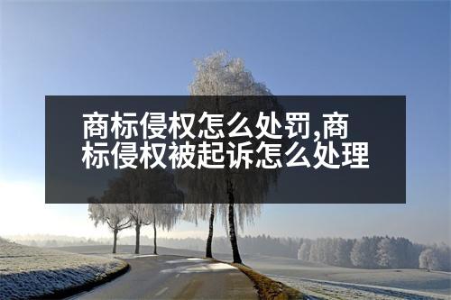 商標(biāo)侵權(quán)怎么處罰,商標(biāo)侵權(quán)被起訴怎么處理