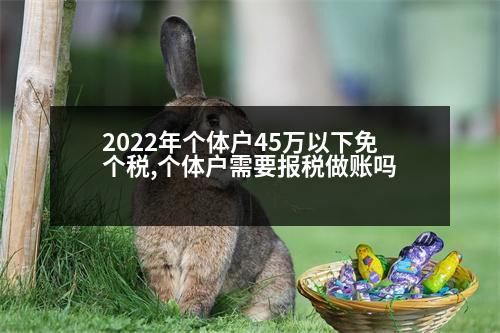 2022年個體戶45萬以下免個稅,個體戶需要報稅做賬嗎