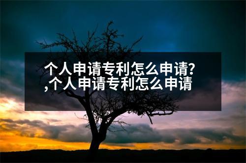 個(gè)人申請(qǐng)專利怎么申請(qǐng)？,個(gè)人申請(qǐng)專利怎么申請(qǐng)