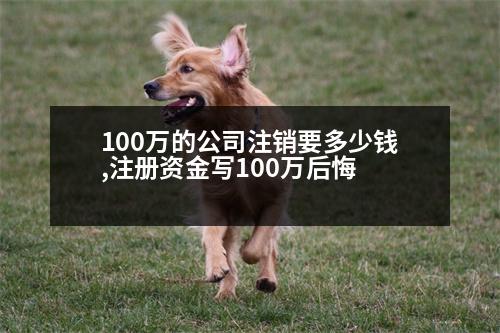 100萬的公司注銷要多少錢,注冊資金寫100萬后悔