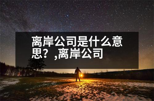 離岸公司是什么意思？,離岸公司