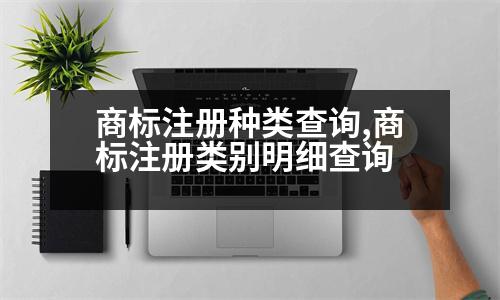 商標(biāo)注冊(cè)種類查詢,商標(biāo)注冊(cè)類別明細(xì)查詢