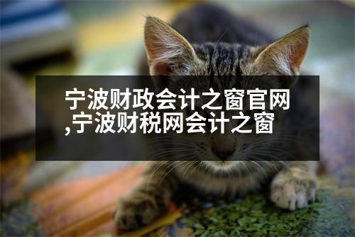 寧波財政會計之窗官網(wǎng),寧波財稅網(wǎng)會計之窗