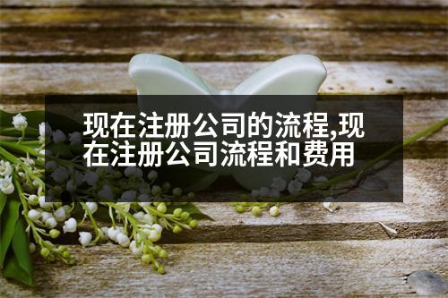 現(xiàn)在注冊(cè)公司的流程,現(xiàn)在注冊(cè)公司流程和費(fèi)用