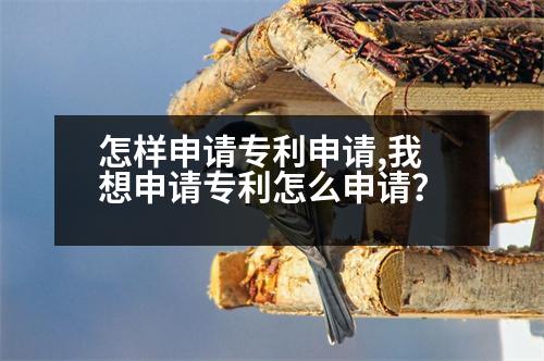 怎樣申請專利申請,我想申請專利怎么申請？