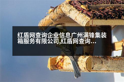 紅盾網(wǎng)查詢企業(yè)信息廣州滿鋒集裝箱服務(wù)有限公司,紅盾網(wǎng)查詢企業(yè)信息