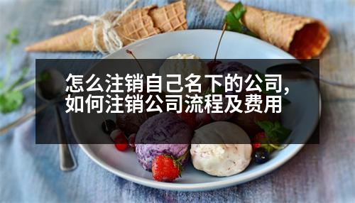 怎么注銷自己名下的公司,如何注銷公司流程及費(fèi)用