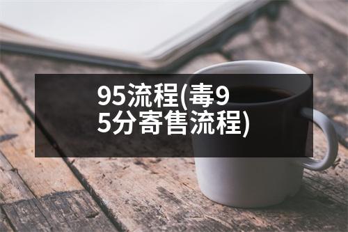 95流程(毒95分寄售流程)