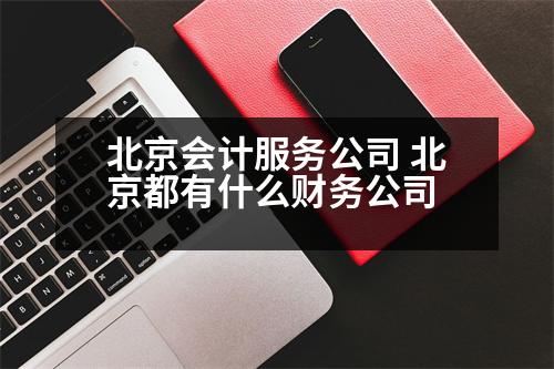 北京會計服務公司 北京都有什么財務公司