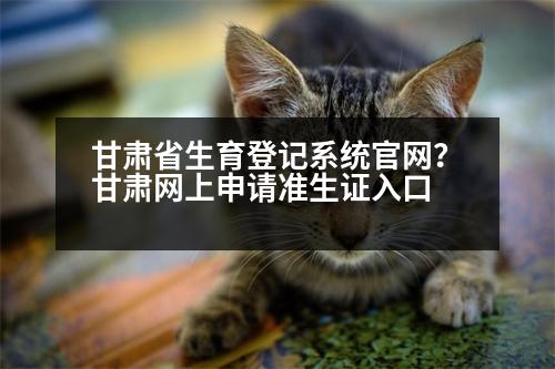 甘肅省生育登記系統(tǒng)官網(wǎng)？甘肅網(wǎng)上申請準(zhǔn)生證入口