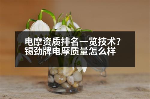 電摩資質(zhì)排名一覽技術(shù)？錫勁牌電摩質(zhì)量怎么樣