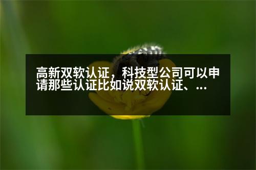 高新雙軟認證，科技型公司可以申請那些認證比如說雙軟認證、高新認證。說全