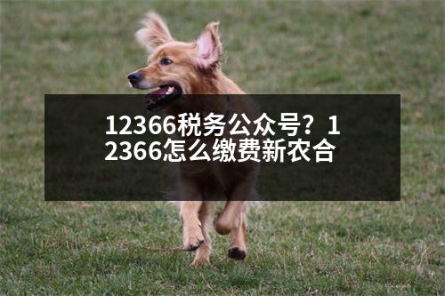 12366稅務(wù)公眾號？12366怎么繳費(fèi)新農(nóng)合