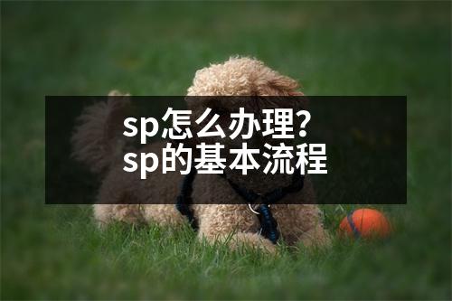 sp怎么辦理？sp的基本流程