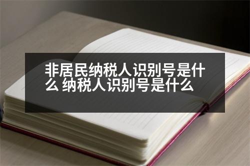 非居民納稅人識別號是什么 納稅人識別號是什么