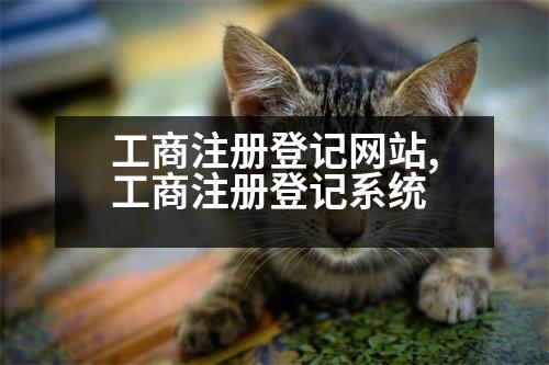 工商注冊(cè)登記網(wǎng)站,工商注冊(cè)登記系統(tǒng)