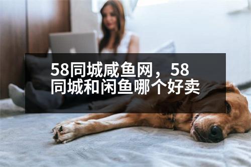 58同城咸魚網(wǎng)，58同城和閑魚哪個好賣