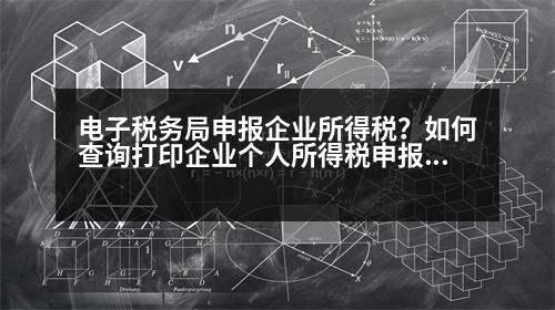 電子稅務(wù)局申報(bào)企業(yè)所得稅？如何查詢打印企業(yè)個(gè)人所得稅申報(bào)明細(xì)