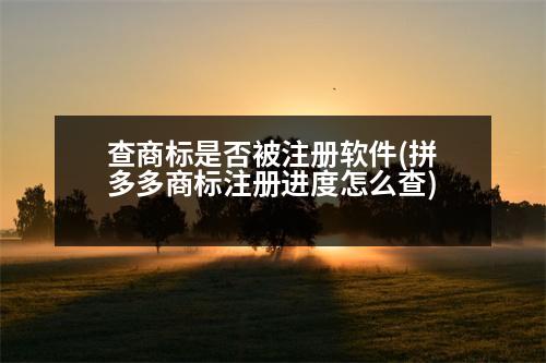 查商標(biāo)是否被注冊(cè)軟件(拼多多商標(biāo)注冊(cè)進(jìn)度怎么查)