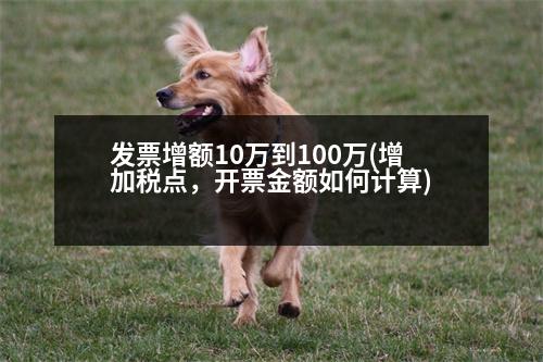 發(fā)票增額10萬到100萬(增加稅點，開票金額如何計算)