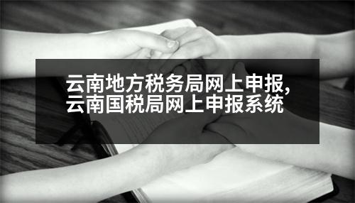 云南地方稅務局網(wǎng)上申報,云南國稅局網(wǎng)上申報系統(tǒng)