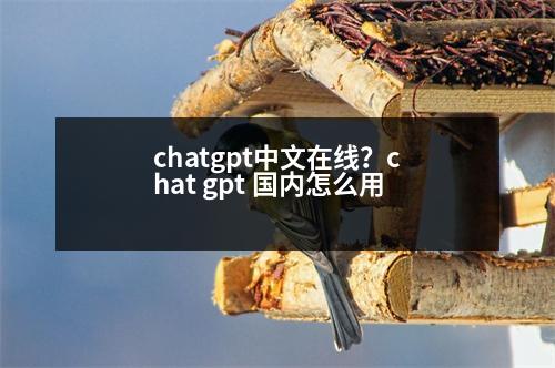 chatgpt中文在線？chat gpt 國內怎么用