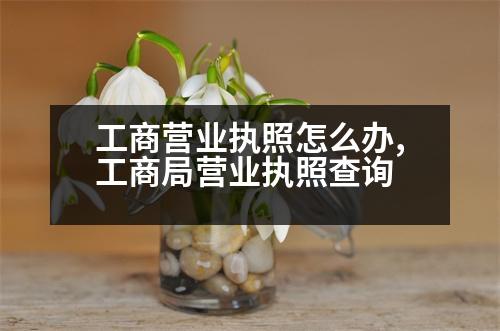 工商營(yíng)業(yè)執(zhí)照怎么辦,工商局營(yíng)業(yè)執(zhí)照查詢(xún)