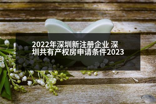 2022年深圳新注冊企業(yè) 深圳共有產(chǎn)權(quán)房申請條件2023