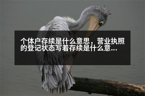 個(gè)體戶存續(xù)是什么意思，營業(yè)執(zhí)照的登記狀態(tài)寫著存續(xù)是什么意思